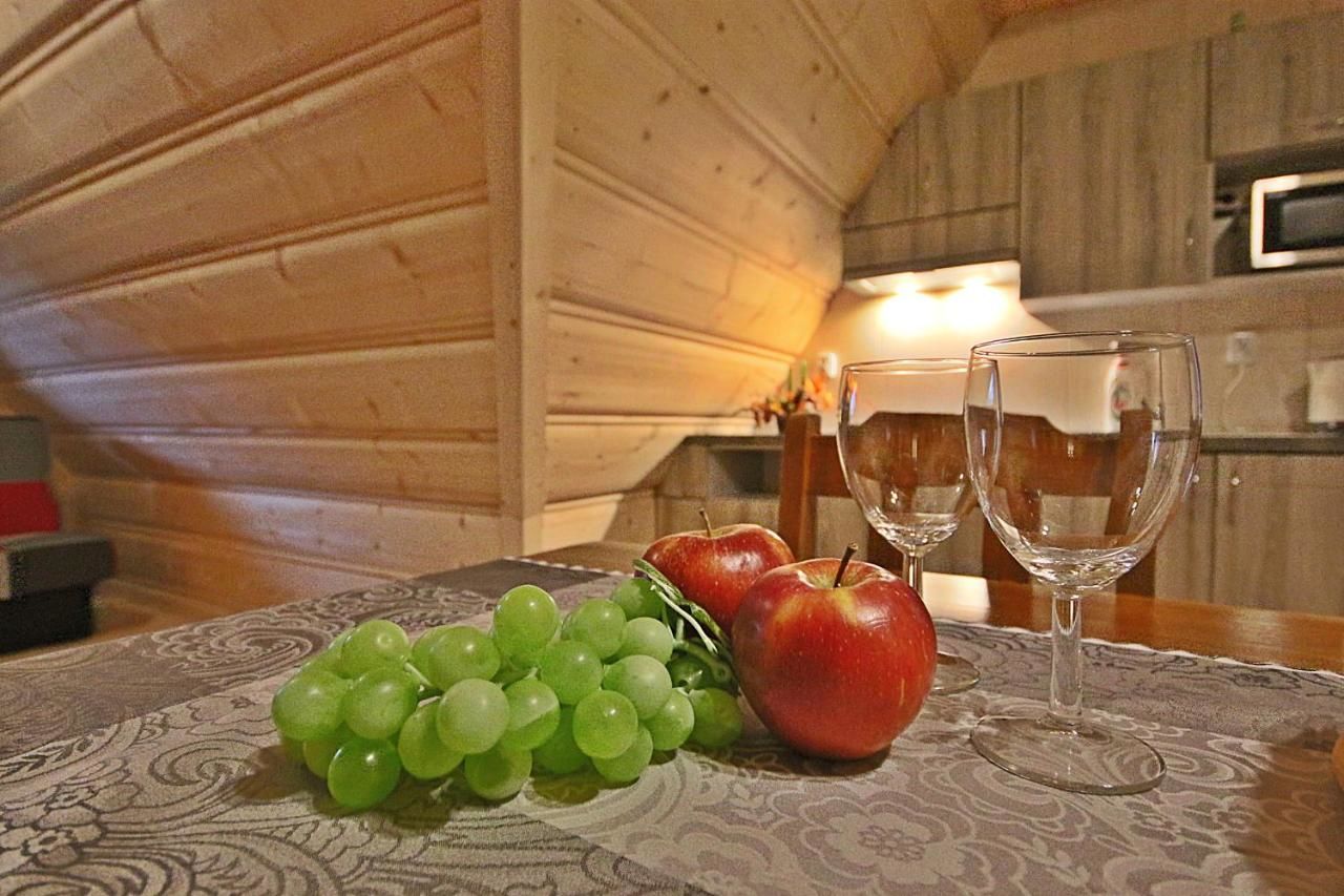 Проживание в семье Noclegi Brzegi Бжеги